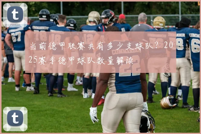 当前德甲联赛共有多少支球队?2025赛季德甲球队数量解读