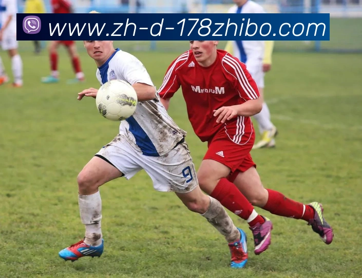 178体育直播发展历程